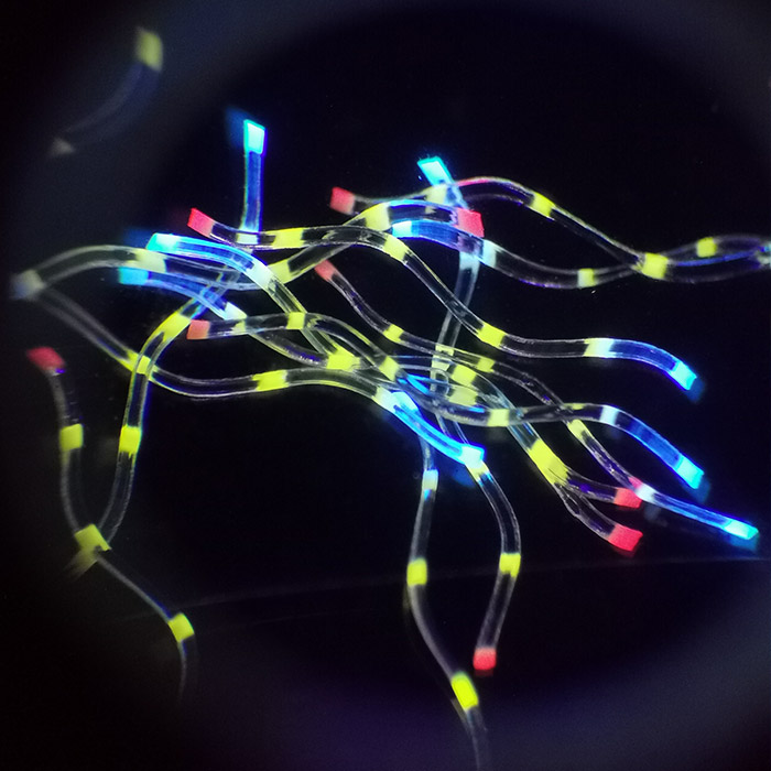 异形分(fēn)段纤维